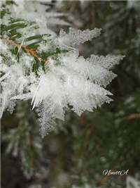 3f5ba243-20170115 kristals.jpg